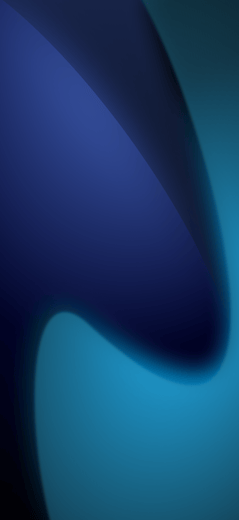 ocean orca