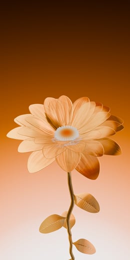 Daisy Gold