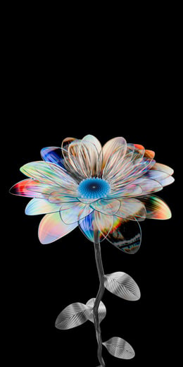 Daisy Iridescent