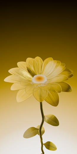Daisy Amber