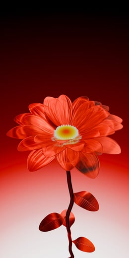 Daisy Ruby