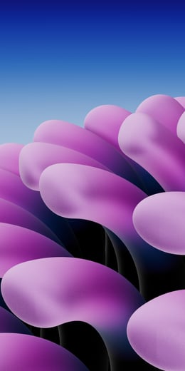 Purple Focus