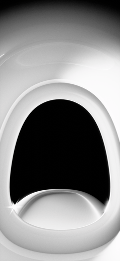 toilet squad
