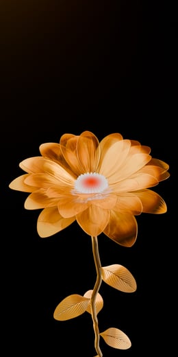 Daisy Gold Dark