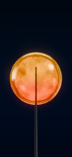 Citrus Glow Dark