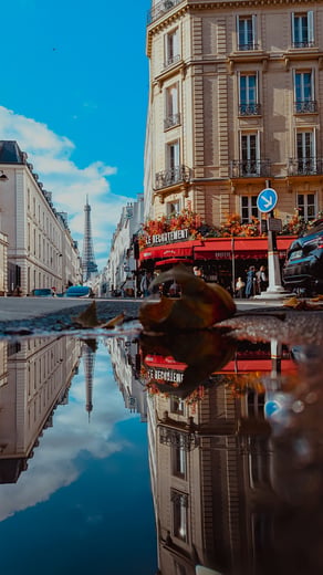 Paris Reflections 