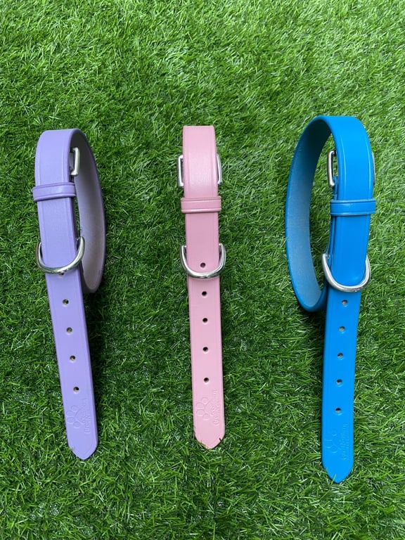 Leather Dog Collars with Leash