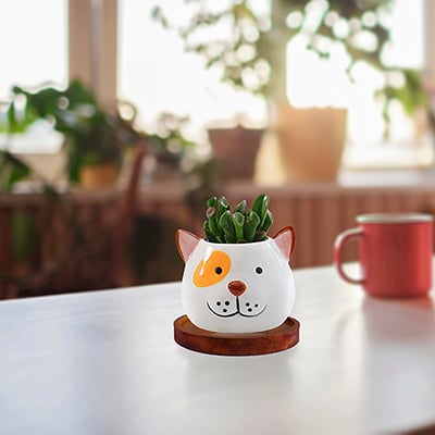 Cute Animal Shape Ceramic Flower Pots