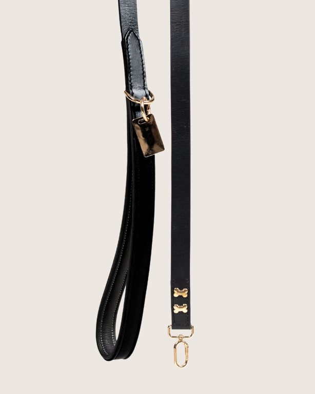 The City Boi Leashes