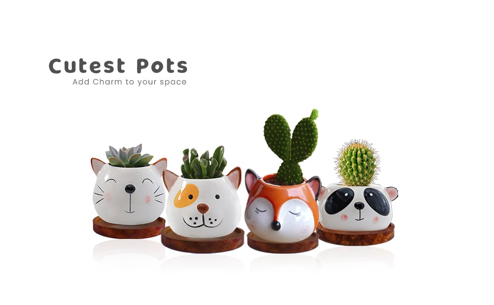Cute Animal Shape Ceramic Flower Pots