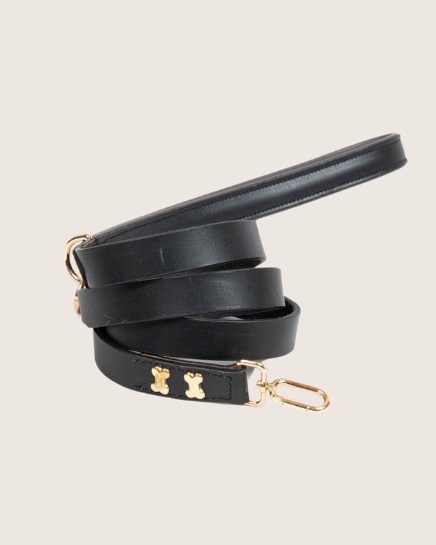 The City Boi Leashes