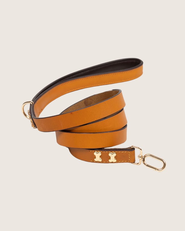 The City Boi Leashes