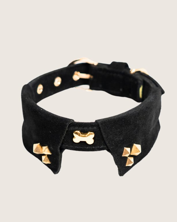 Dog Collars