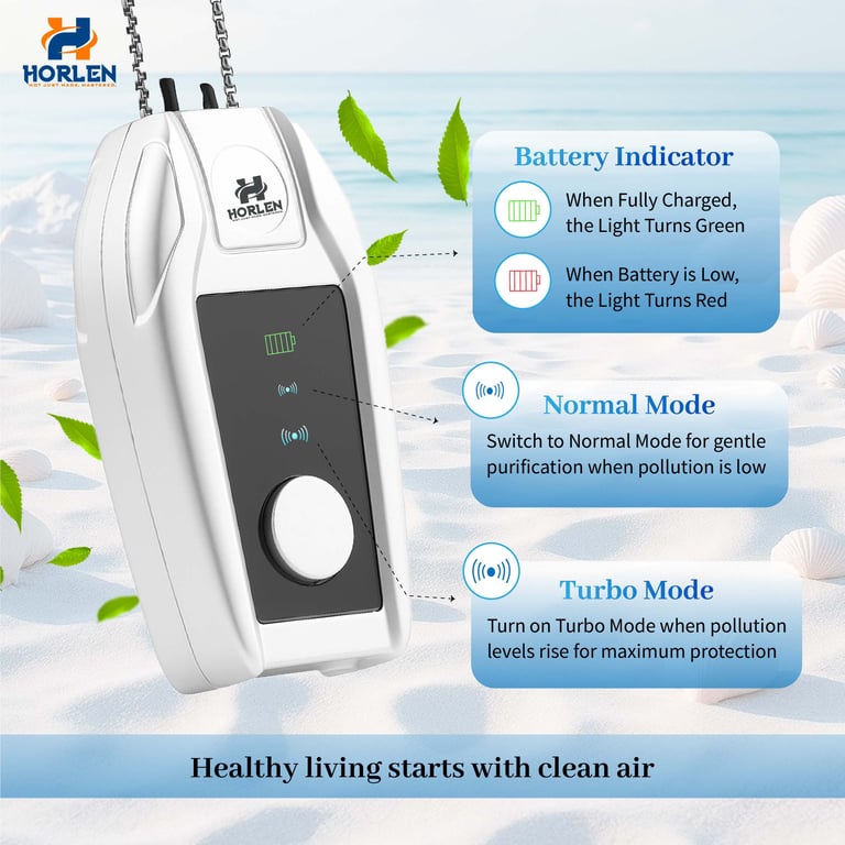 Portable air purifier