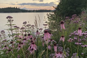 gallery 5-13 img 4274