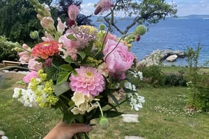 gallery 4-2 img 0050