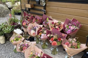 gallery 2-5 img 4811