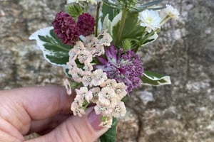 gallery 3-10 img 2261