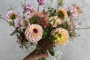 gallery 4-1 img 0011