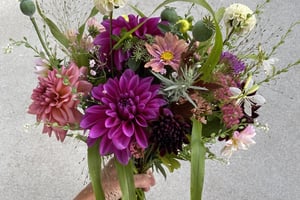 gallery 4-10 img 2924