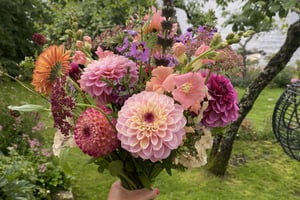 gallery 4-11 img 3152