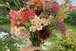 gallery 4-13 img 3796