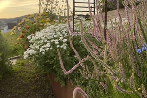 gallery 5-7 img 3645