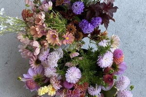 gallery 3-8 img 1354