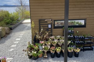 gallery 2-1 img 0258