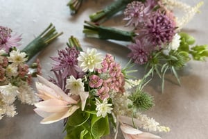 gallery 3-1 img 0501