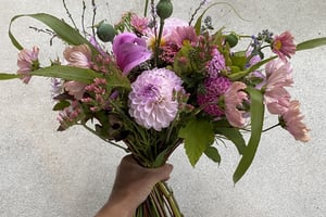 gallery 4-9 img 2802