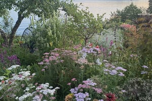 gallery 5-11 img 4094