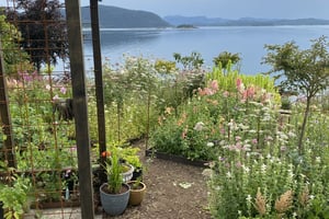 gallery 5-16 img 4691