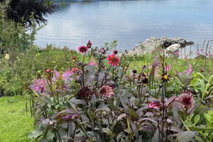 gallery 5-4 img 2347