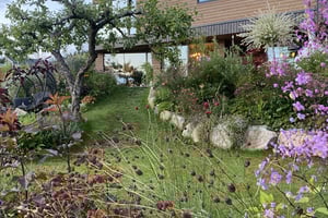 gallery 5-14 img 4285