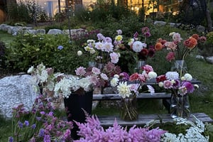 gallery 5-5 img 2701