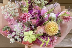 gallery 2-4 img 4652