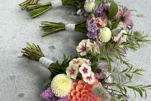 gallery 3-7 img 0752