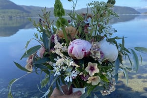 gallery 3-9 img 2236