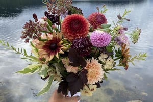 gallery 3-11 img 4801