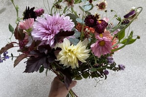 gallery 4-7 img 2618