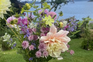 gallery 4-15 img 4828