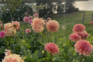 gallery 5-17 img 4913