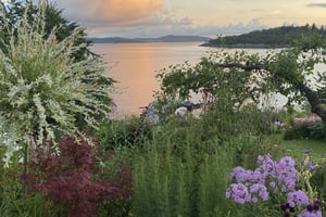 gallery 5-12 img 4224