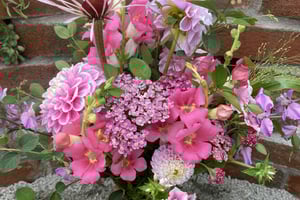 gallery 4-12 img 3754