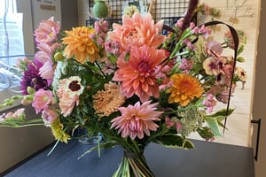 gallery 2-6 img 5434