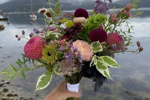 gallery 3-12 img 4865