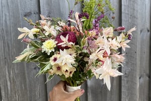 gallery 3-6 img 0750