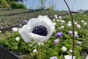 gallery 1-2 img 1168