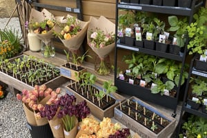 gallery 2-3 img 0947